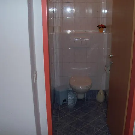 Haus Mary Apartment Russbach am Pass Gschuett