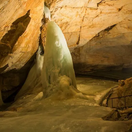 Haus Mary Apartment *