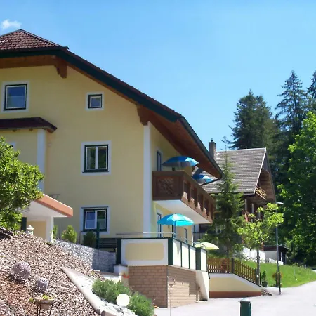 Haus Mary Апартаменты Русбах-ам-Пас-Гшютт