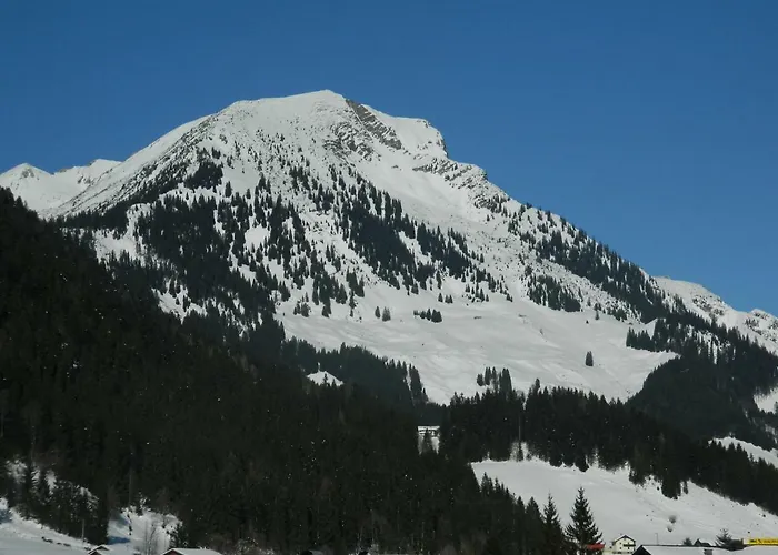 Haus Mary 루스바흐 암 파스 그슈에트